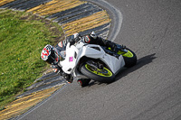 Advanced Group White Bikes